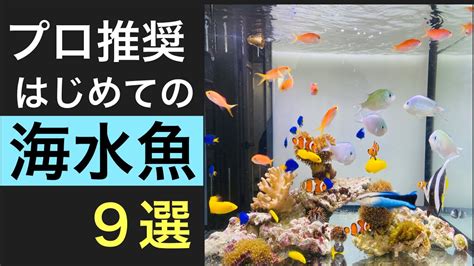 養水魚